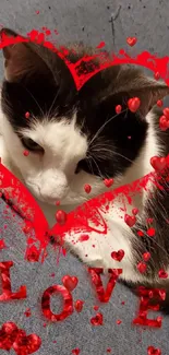 Black and white cat with red heart and 'LOVE' text on a blue background.