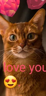 Adorable brown cat with love symbols on wallpaper.