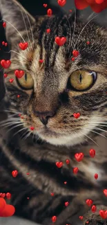 Cute cat with red heart decorations on wallpaper