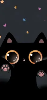 Adorable black cat with big eyes and stars on a dark background wallpaper.