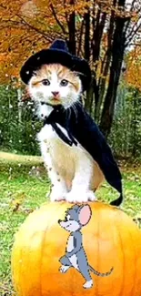 Cute kitten in a cape sitting on a pumpkin in a fall forest setting.