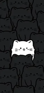 Cute cat wallpaper with black cats and a standout white cat.