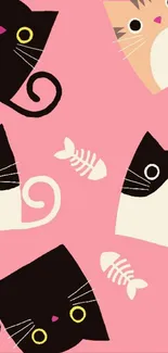 Cute, playful cat pattern on a pink background for mobile wallpaper.