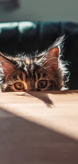 Adorable cat peeking over a table, creating a playful and cute mobile wallpaper.