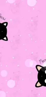 Pink wallpaper with cute black cat faces and playful design.