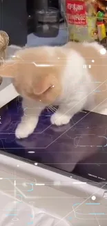 Adorable cat playing on a tablet screen, creating fun patterns.