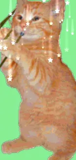 Orange cat playing trombone with stars on a green background wallpaper.