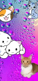 Colorful wallpaper with cute cat characters and rain droplets.