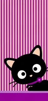 Cute black cat with pink stripes wallpaper design.