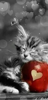 A cute kitten sleeping on a red apple with heart accents.