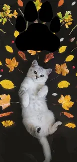 Adorable kitten surrounded by colorful autumn leaves with a paw print.