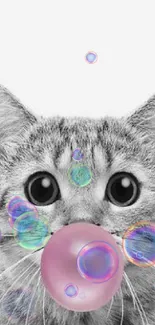 Grey cat with bubblegum, cute mobile wallpaper