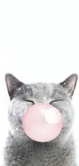 Gray cat blowing pink bubblegum against a white background.