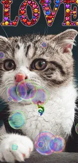 Cute kitten with bubbles and 'Love' text on wallpaper.