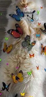 Fluffy cat surrounded by vibrant colorful butterflies.