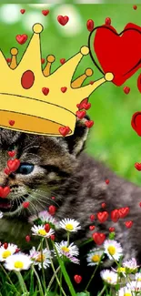 Kitten wearing a crown in a field with cartoon bee and hearts.