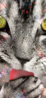 Close-up of a cat's face with vibrant, colorful bokeh lights.