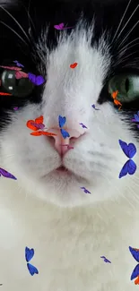 A cute cat with colorful butterflies on its face.