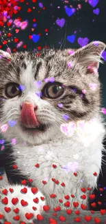 Cute cat with tongue out surrounded by colorful hearts on a designed wallpaper.