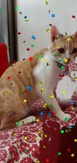 Orange and white cat sitting with colorful confetti.