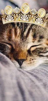 Adorable tabby cat wearing a golden crown, resting peacefully.