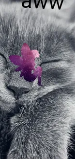 A sleeping cat with a pink fairy overlay on its nose.