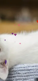 Adorable white kitten surrounded by colorful floating hearts, perfect for a mobile wallpaper.