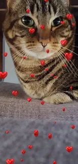 A cute tabby cat surrounded by floating red hearts.