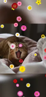 Yawning cat with colorful flower overlay on soft bedding backdrop.