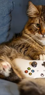 Cat lounging with a game controller on a comfy blue couch.