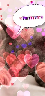 Cat surrounded by colorful hearts, purring