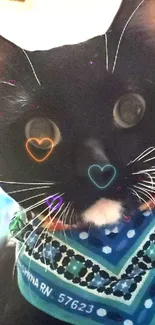 Black cat with a blue bandana and heart effects.