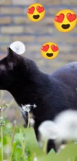 Black cat with heart-eye emojis in a field.