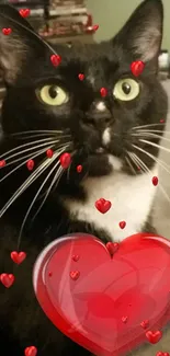 Black and white cat with red heart icons on a wallpaper.