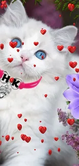 White cat with blue eyes, hearts and flowers wallpaper.