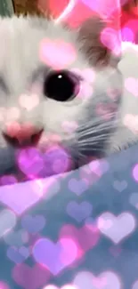 Adorable cat with pink heart background.