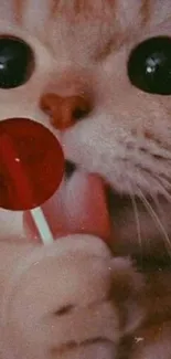 Cute cat licking lollipop in playful wallpaper.