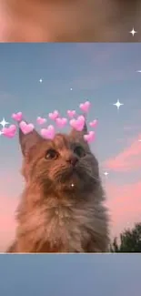 Cute cat with pink hearts and stars on a sunset background.