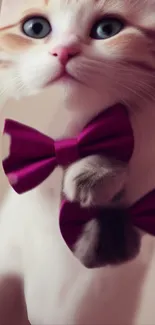 Charming cat with a purple bowtie for mobile wallpaper.