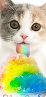 Cute cat with rainbow ice cream wallpaper.