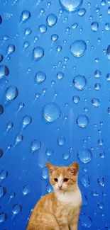 Adorable orange cat with blue raindrop background.