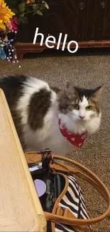 Cute cat with red bandana on carpet, saying hello.