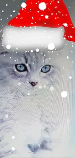 Gray kitten with Santa hat on light blue background.