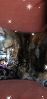 Cute cat lying on a brown couch with sparkles.