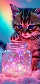 Adorable kitten touches glowing star-filled jar.
