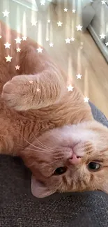 Ginger cat lying on back with sparkling stars, perfect mobile wallpaper.