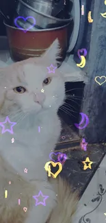 Cat with colorful star, moon, and heart overlay wallpaper.