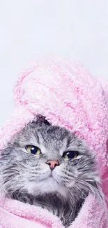 Cute cat wrapped in pink towel for mobile wallpaper.