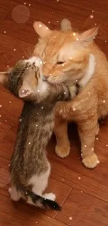 Adorable cats hugging on a wooden floor background.