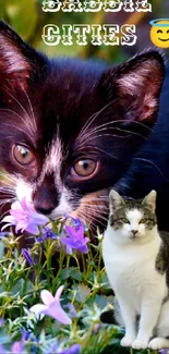 Black and white kittens in a flower garden with purple blooms.